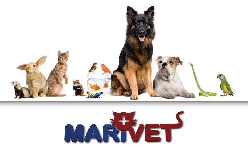 Marivet - Cabinet Veterinar