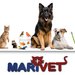 Marivet - Cabinet Veterinar